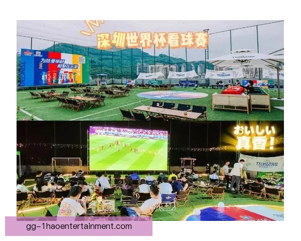 从场地到氛围全流程指南如何筹备二零二六年世界杯观赛活动